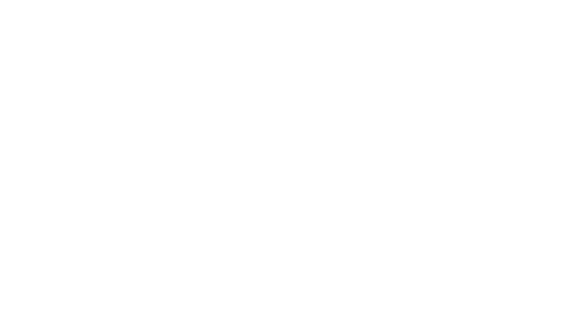 FVV